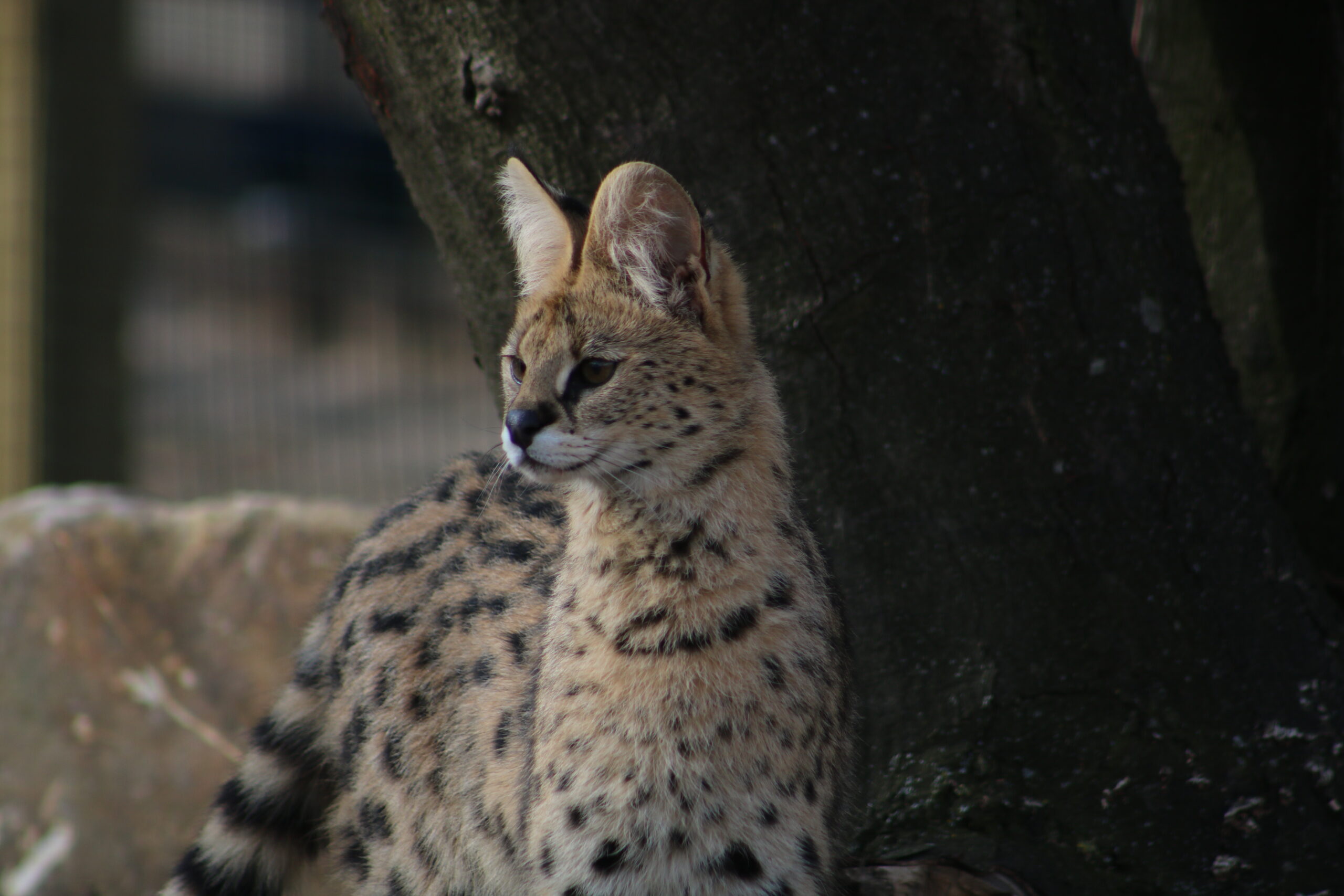 Keeper Talks are back from this Saturday!