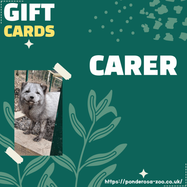 Carer Gift Ticket
