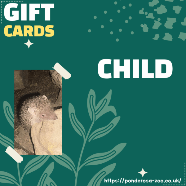 Child Gift Card