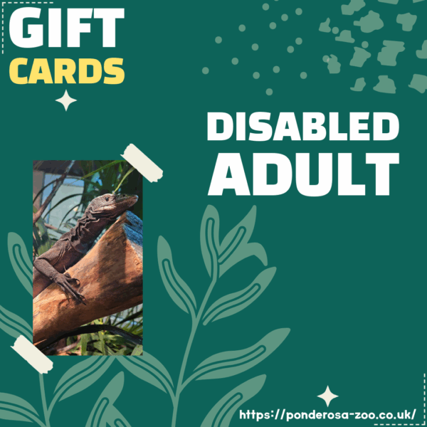 Disabled Adult Gift Ticket