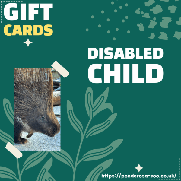 Disabled Child Gift Ticket