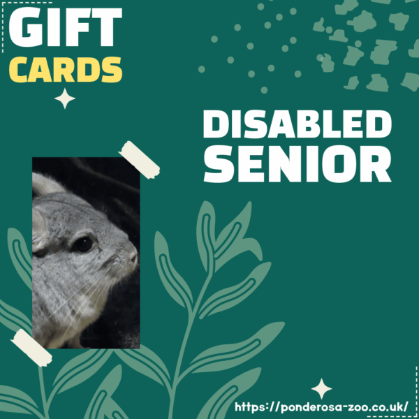 Disabled Senior Gift Ticket