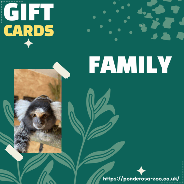 Family Gift Ticket