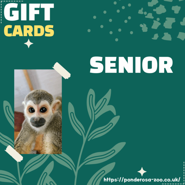 Senior Gift Ticket